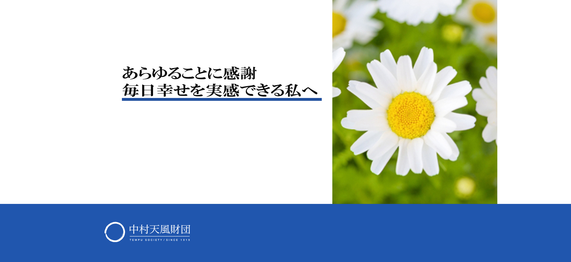 感謝 感謝で どんどん幸せになれる 中村天風財団 天風会 書籍 Cdサイト